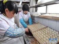 平罗县宏顺建筑劳务服务部