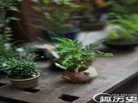 平罗县宏顺建筑劳务服务部